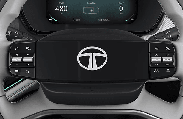 Steering Wheel Controls