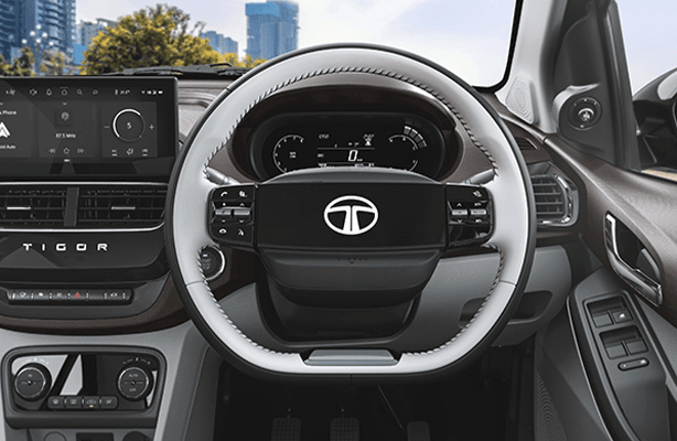 Steering Wheel